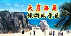 插逼视频性爱日韩海南三亚-天崖海角旅游风景区